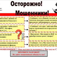Опасность: новые мошеннические схемы! Амурчане, никому не сообщайте пароль от Госуслуг Опасность: новые мошеннические схемы! Амурчане, никому не сообщайте пароль от Госуслуг